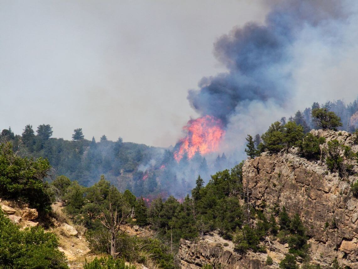 Large flame torching trees as part of the Grizzly Creek Fire