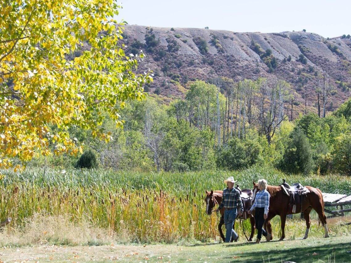 Two cowboys walk with a horse beside a lush, grassy area. In the background, a hill with sparse trees catches the light breeze, creating gentle ripples. The scene is peaceful with clear skies, and a tree with yellowing leaves stands in the foreground.