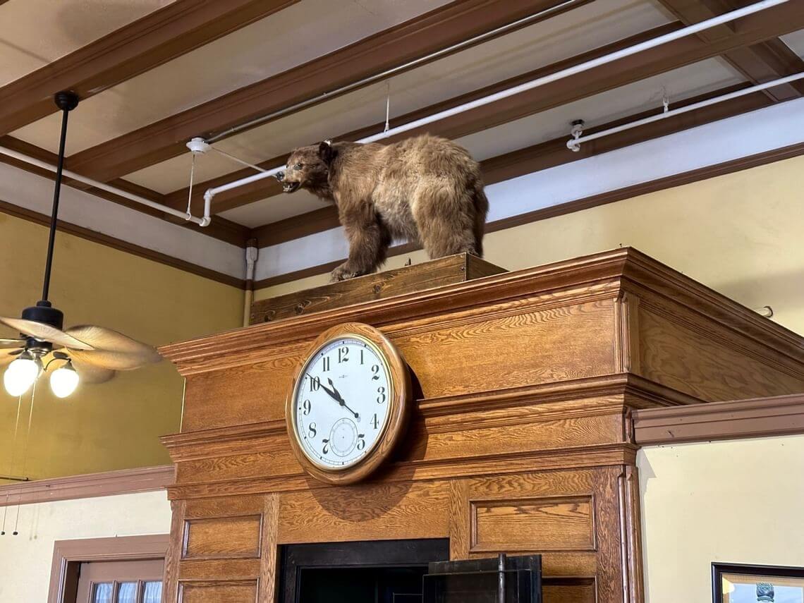 A taxidermy bear, an imposing animal, stands atop a wooden cabinet adorned with a round clock showing around 4:15. Overhead, the ceiling showcases exposed pipes and a ceiling fan with lights.