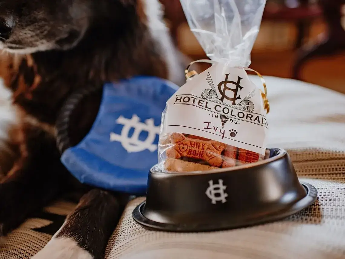 Dog treats at Hotel Colorado