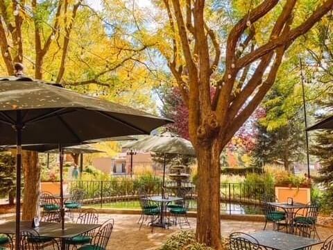 The outdoor café scene is set under large trees adorned with autumn leaves, creating a cozy fall ambiance. Dark patio umbrellas shade several metal tables and chairs on the stone patio, while sunlight filters through the branches, enhancing the warm and inviting atmosphere.