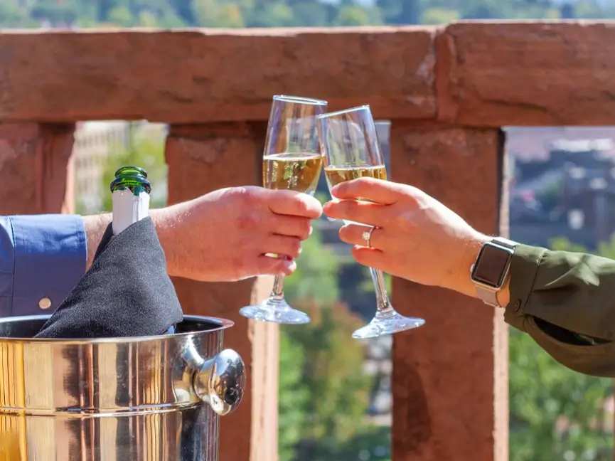 Two people toast with champagne flutes on a sunny day, their eyes sparkling with romance. A bottle chills in an ice bucket draped with a black cloth. They stand by a stone railing, overlooking a cityscape softened by lush green trees.