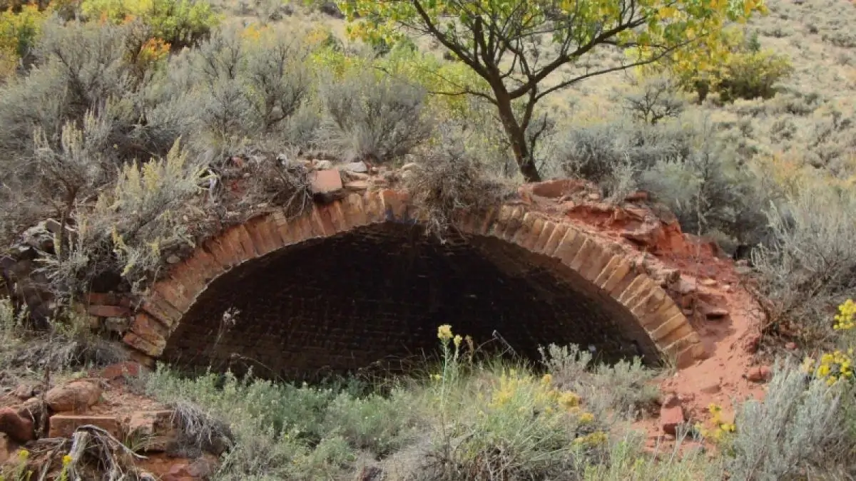 An old, partially buried brick tunnel entrance surrounded by shrubs, grasses, and a small tree in a natural, overgrown landscape.