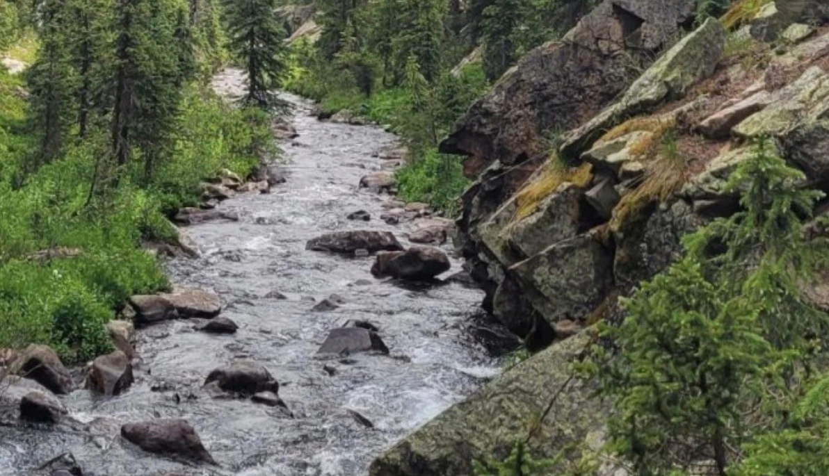 A rocky stream flows through a lush green forest, bordered by large moss-covered boulders and dense evergreen trees. The water moves swiftly over rocks, creating a peaceful natural scene.