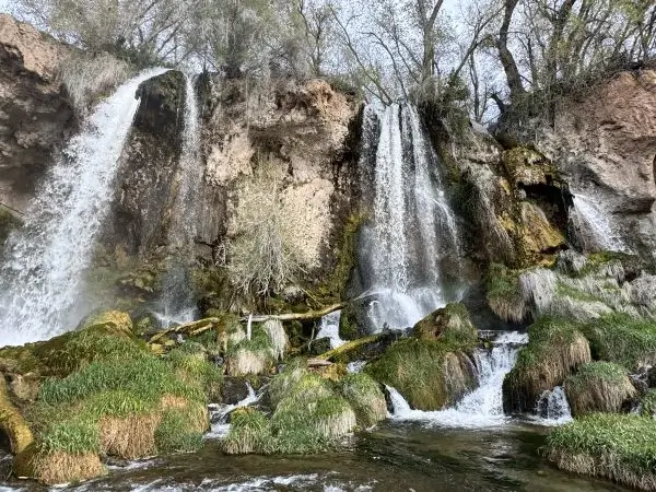 Multiple streams of a waterfall cascade down a rocky cliff covered in lush green moss and vegetation, with water pooling at the base and trees growing above the falls—an enchanting scene worthy of walt's inspiration.