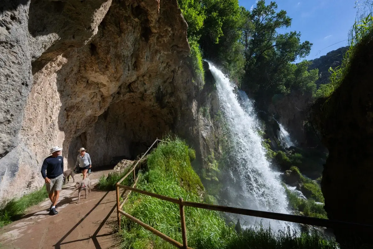 Two people walk a dog along a rocky trail beside a tall waterfall, with lush green foliage and sunlight filtering through the trees—a scene reminiscent of an adventure in Walt's favorite serene getaway.