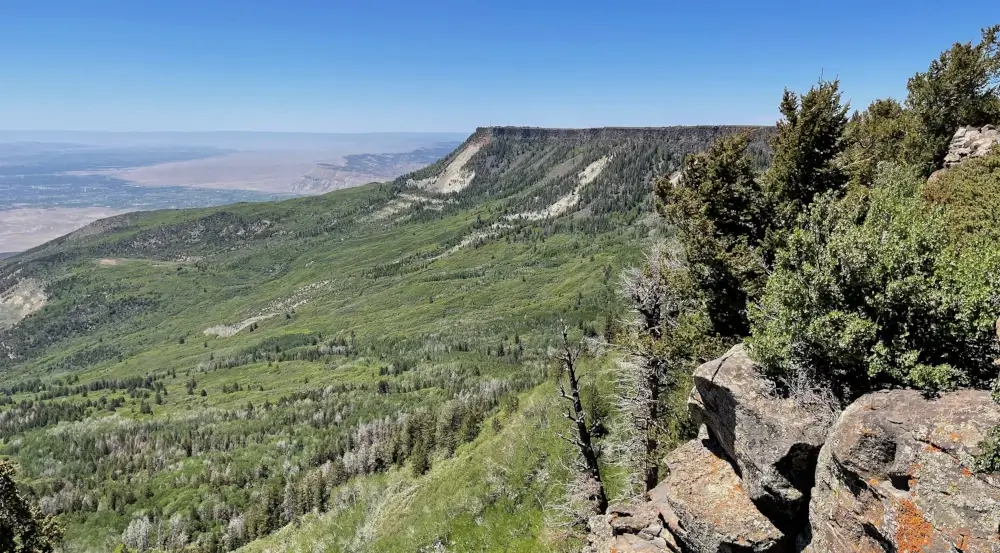A scenic view of a green, forested mesa under a clear blue sky, with rocky cliffs and trees in the foreground and distant valleys and plains visible in the background.